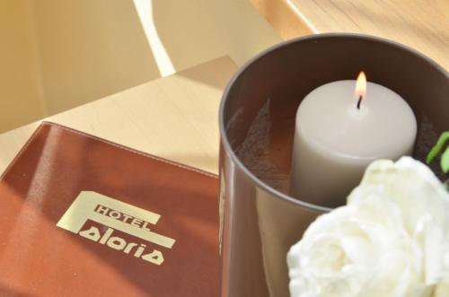 Hotel Faloria 3*